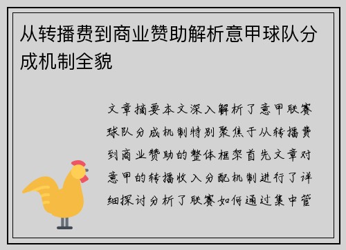 从转播费到商业赞助解析意甲球队分成机制全貌